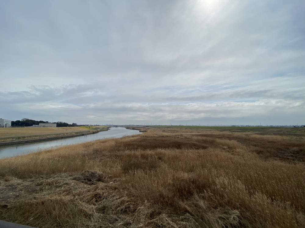 江戸川堤防ラン（南桜井駅〜流山おおたかの森駅）の写真3