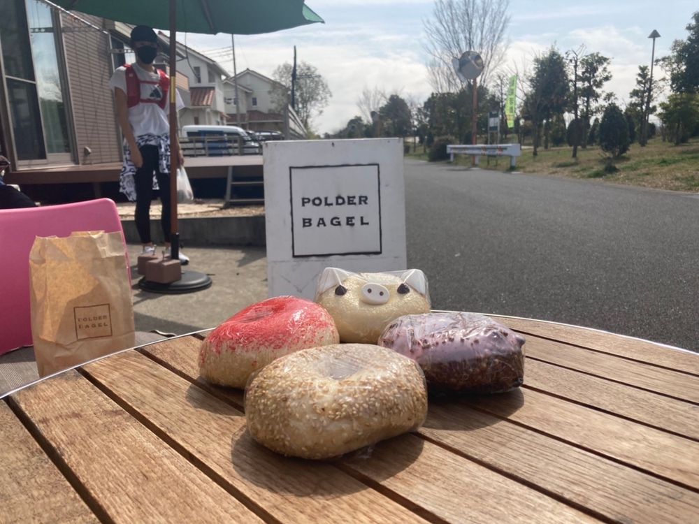 江戸川堤防ラン（南桜井駅〜流山おおたかの森駅）の写真9