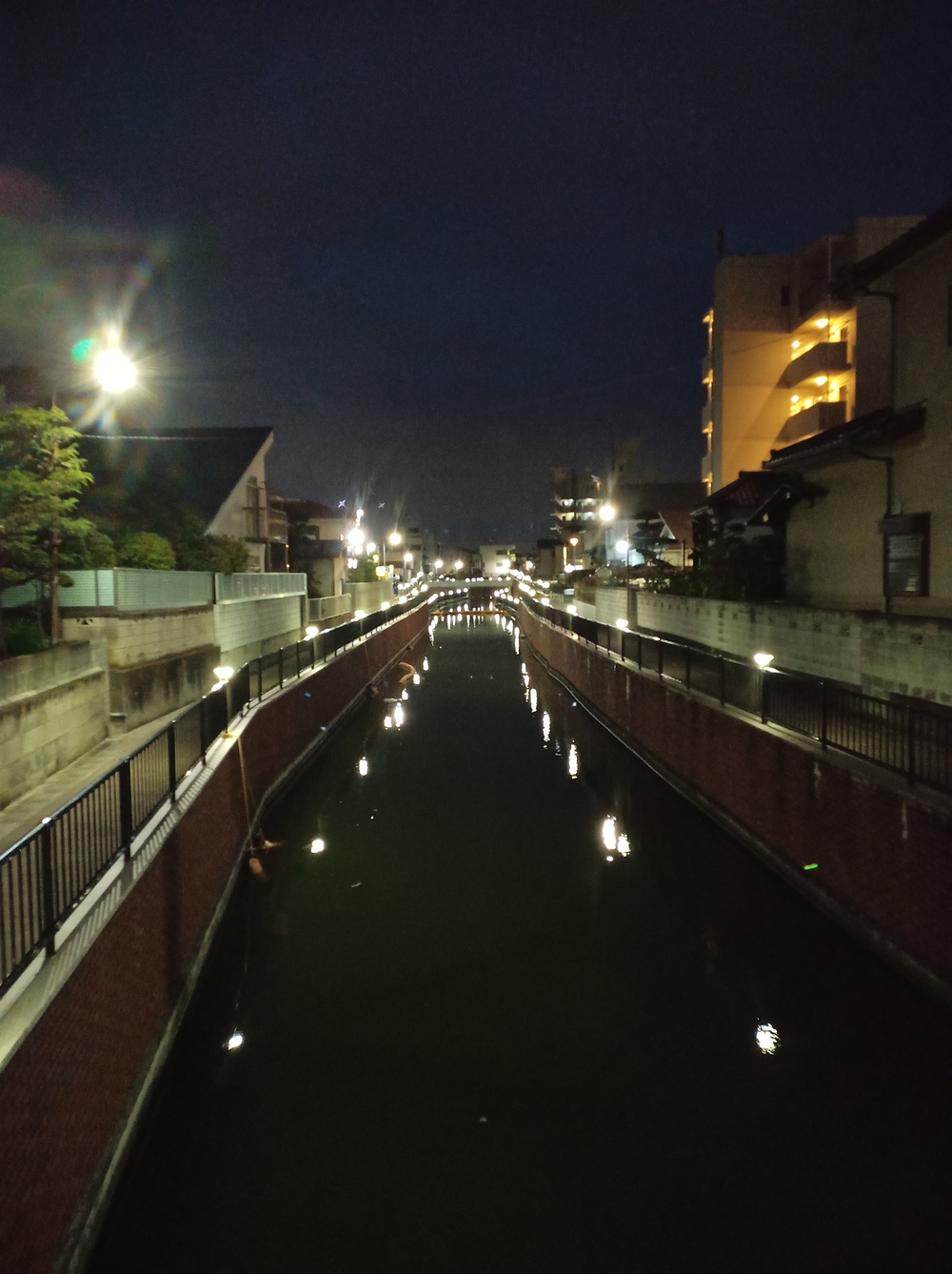 川沿いランで浦安の海まで。の写真3