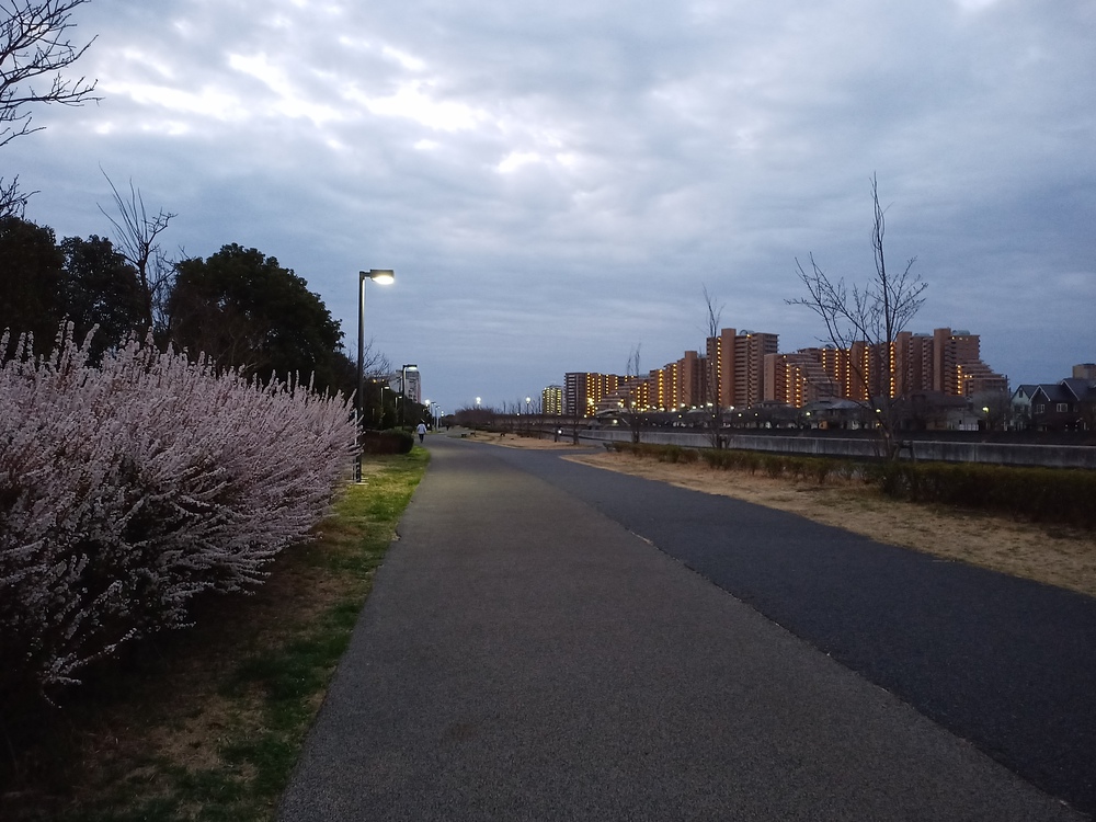 川沿いランで浦安の海まで。の写真4