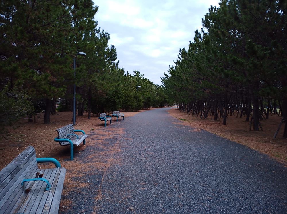 川沿いランで浦安の海まで。の写真7
