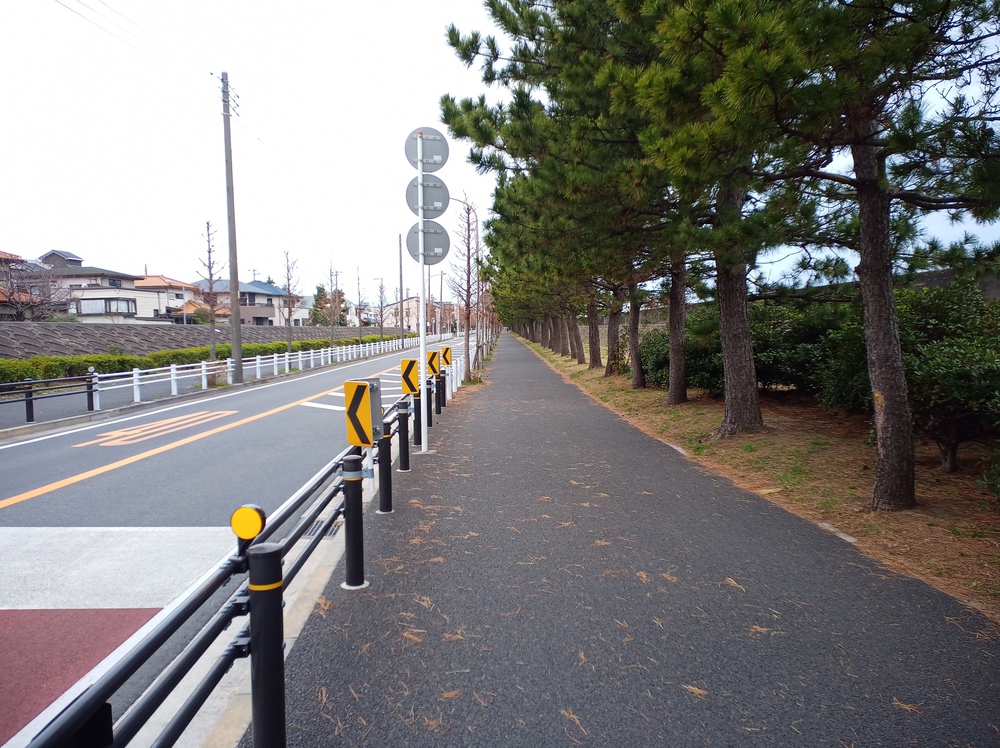 川沿いランで浦安の海まで。の写真10