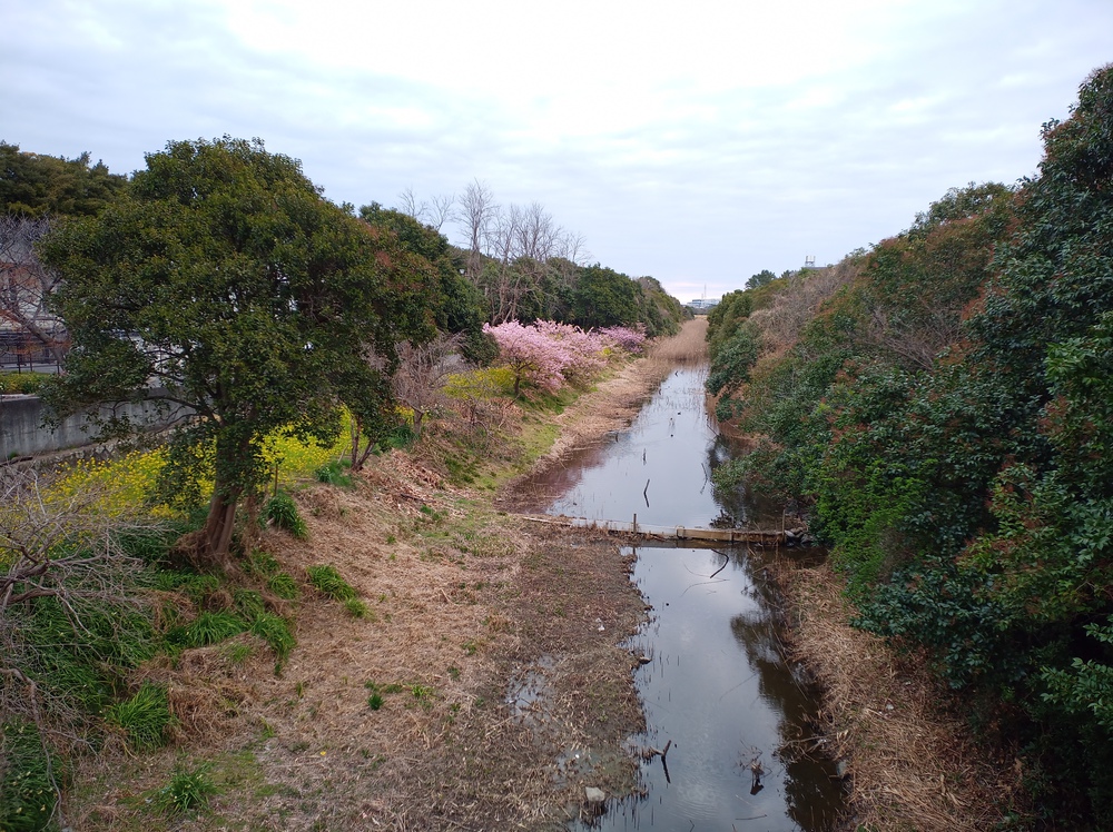 川沿いランで浦安の海まで。の写真11