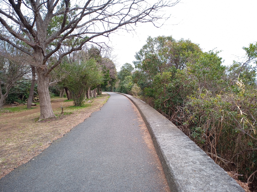 川沿いランで浦安の海まで。の写真13