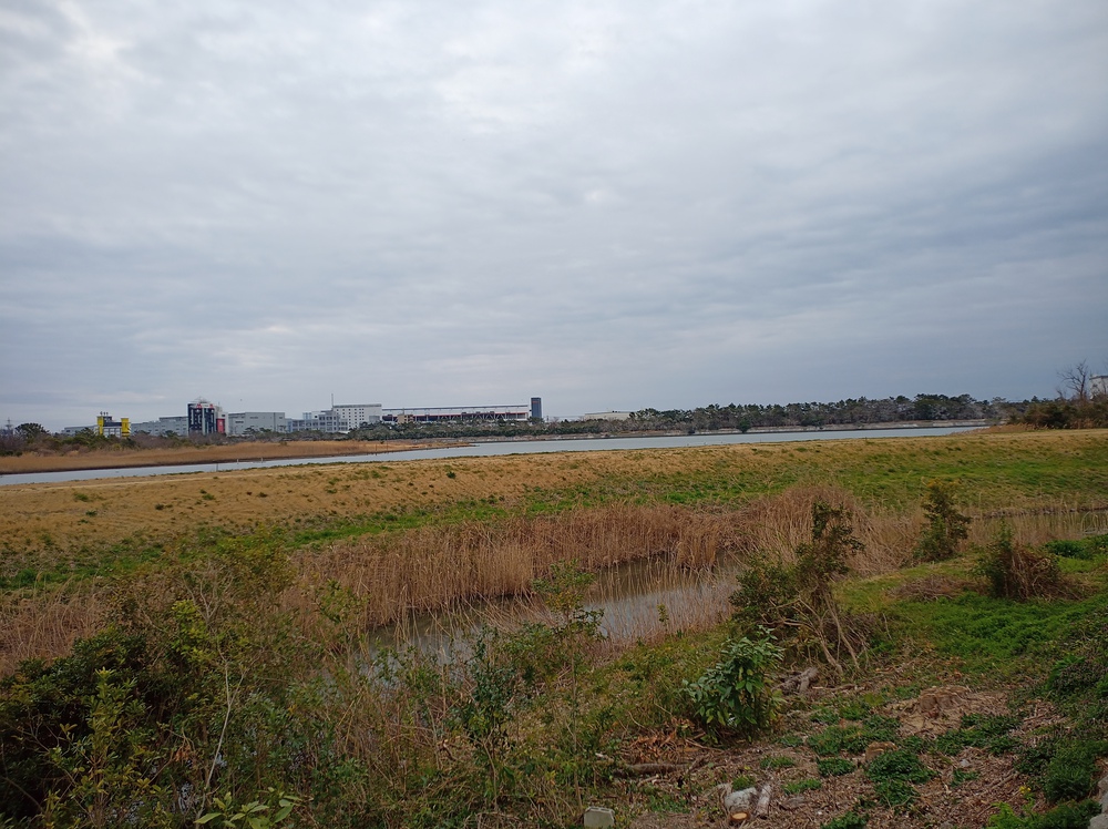 川沿いランで浦安の海まで。の写真14