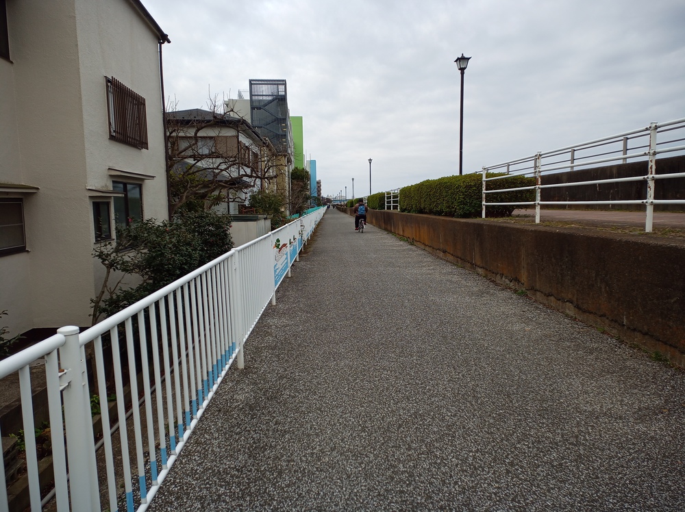 川沿いランで浦安の海まで。の写真15