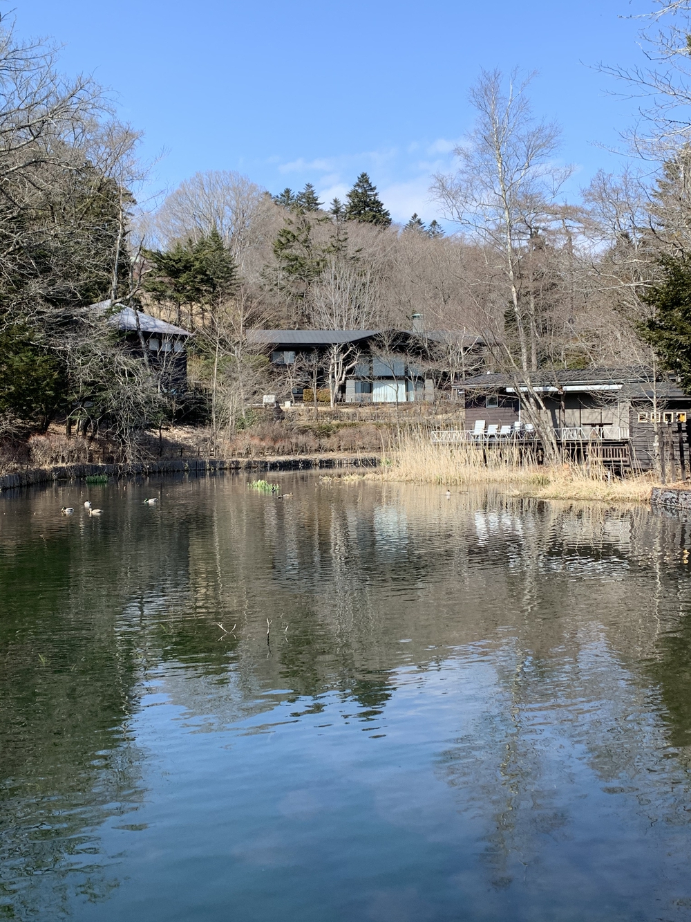 群馬と長野の県境、絶景と絶品グルメの写真5