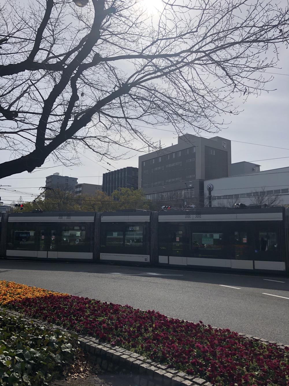 平坦で走り易いコースです。の写真5