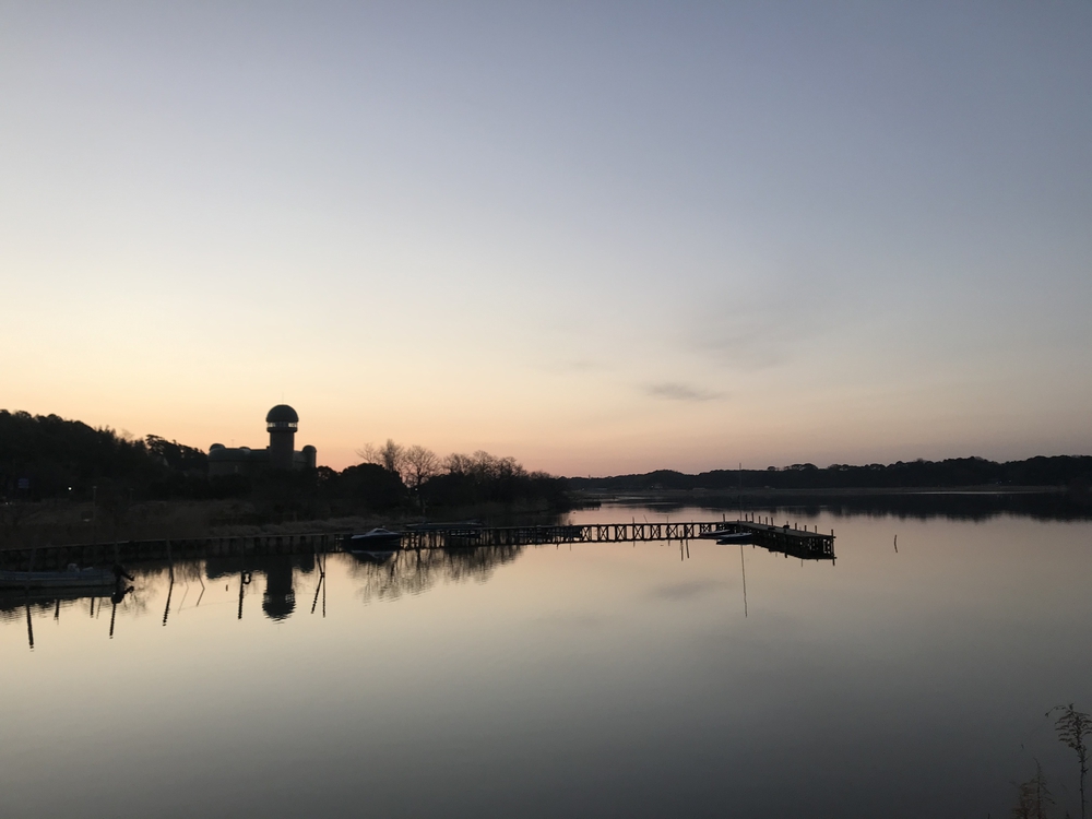 電話を家に忘れたら柏公園に寄りましょうランの写真3
