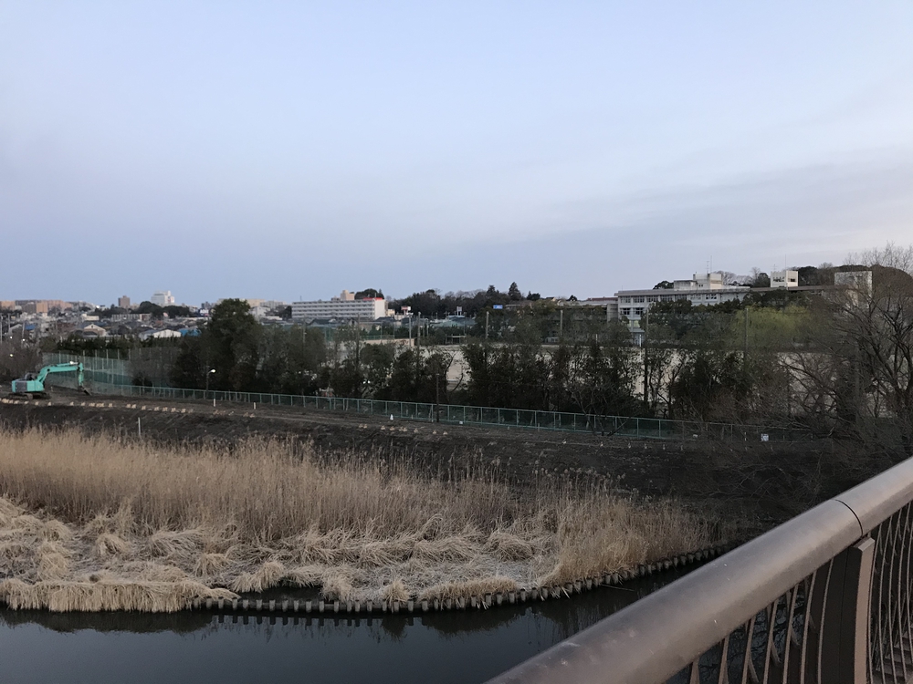 電話を家に忘れたら柏公園に寄りましょうランの写真4