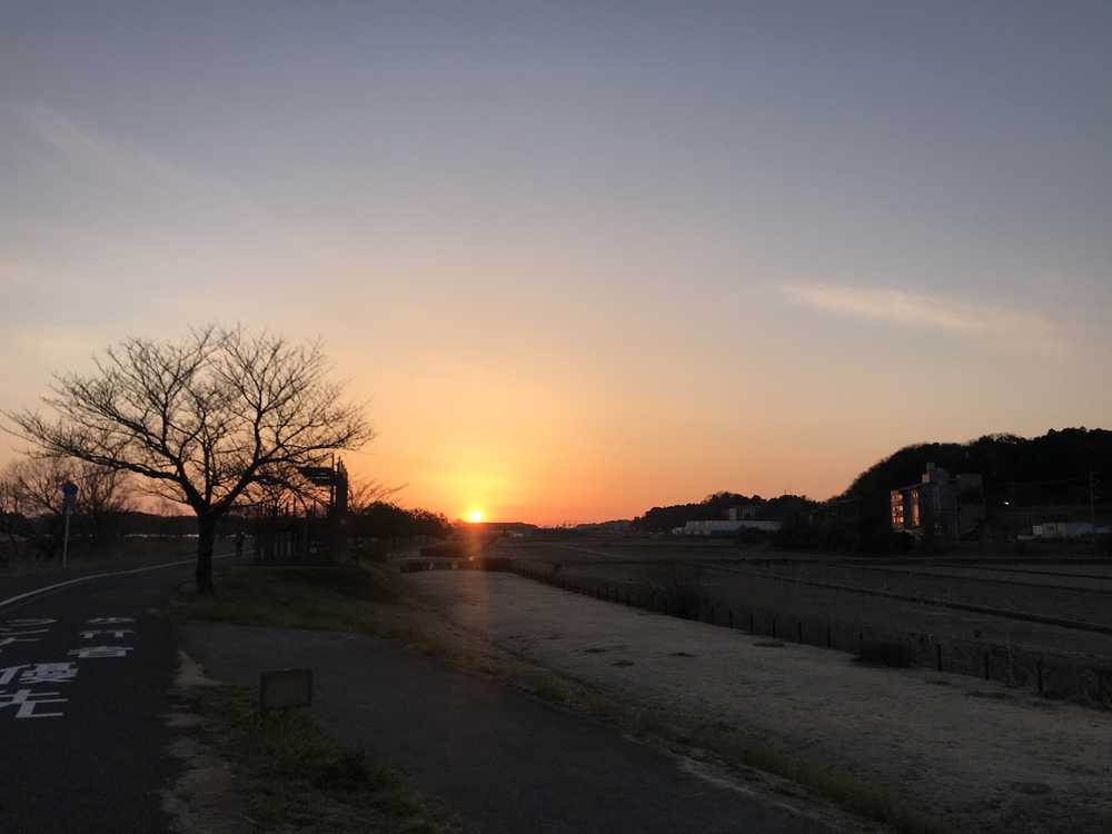 電話を家に忘れたら柏公園に寄りましょうランの写真5