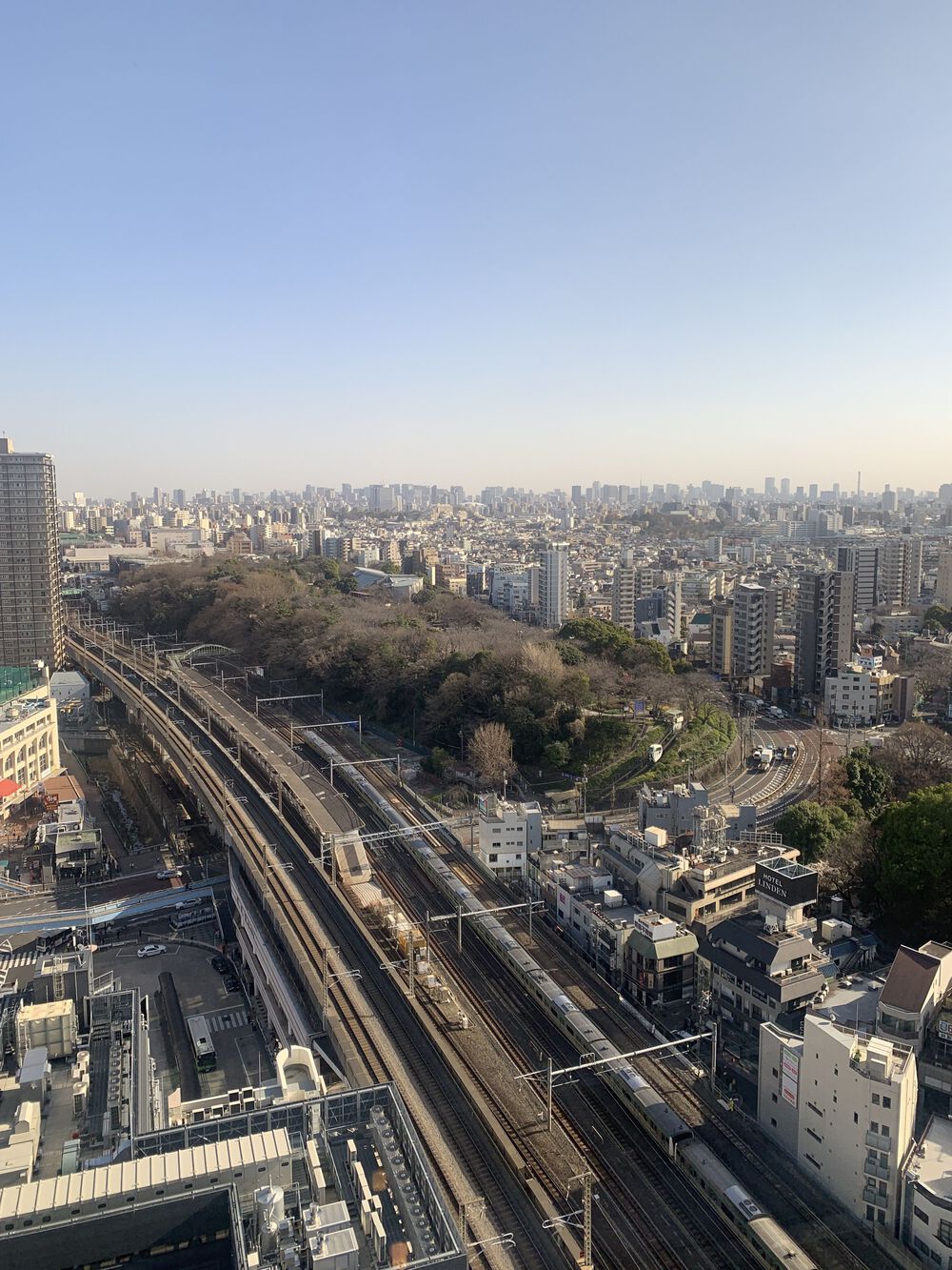 歌川広重と共にRUN 王子〜石神井川の写真4