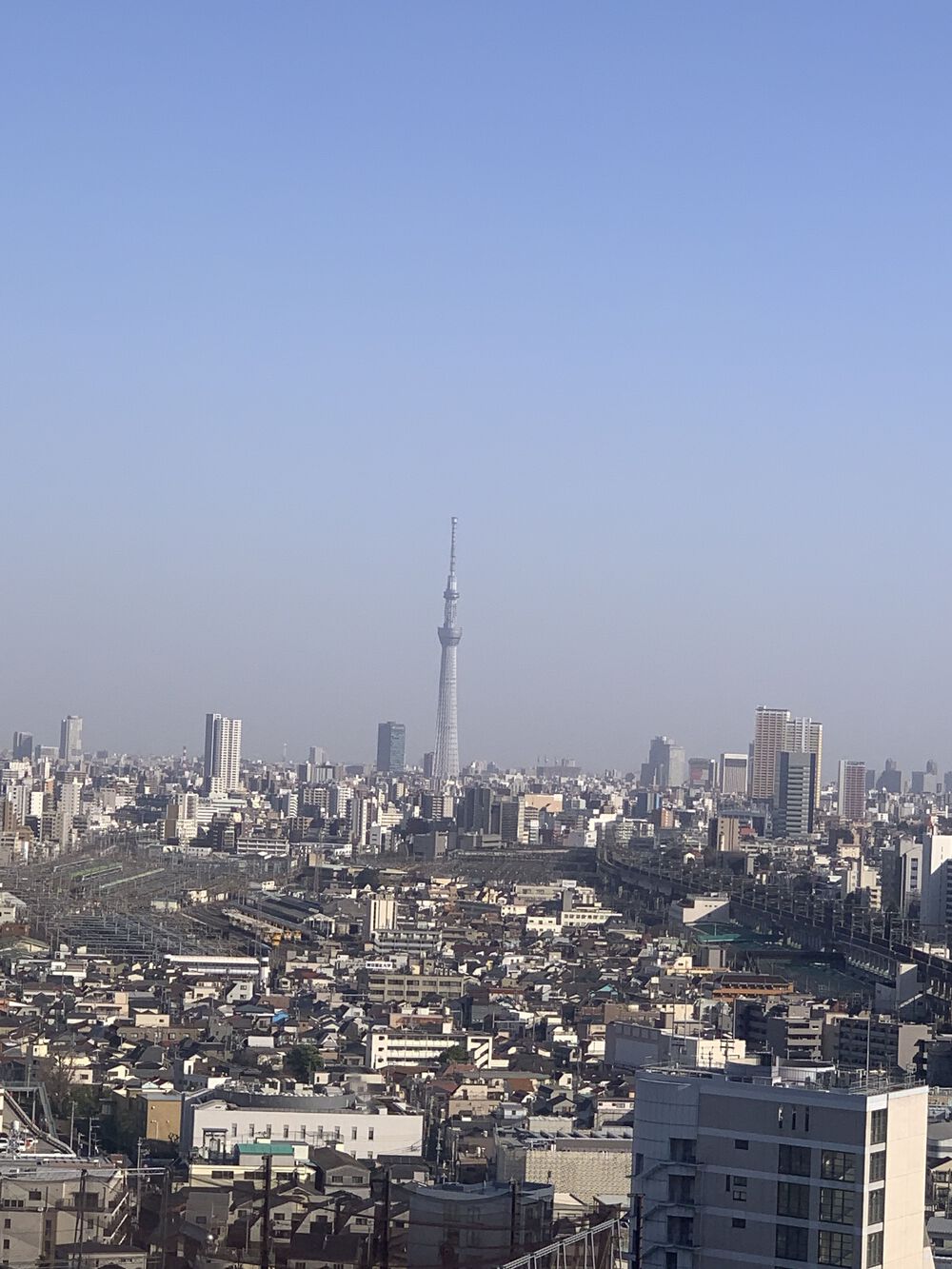 歌川広重と共にRUN 王子〜石神井川の写真5