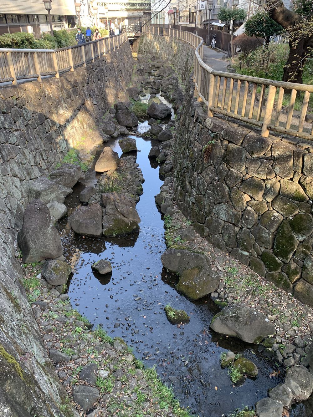 歌川広重と共にRUN 王子〜石神井川の写真8