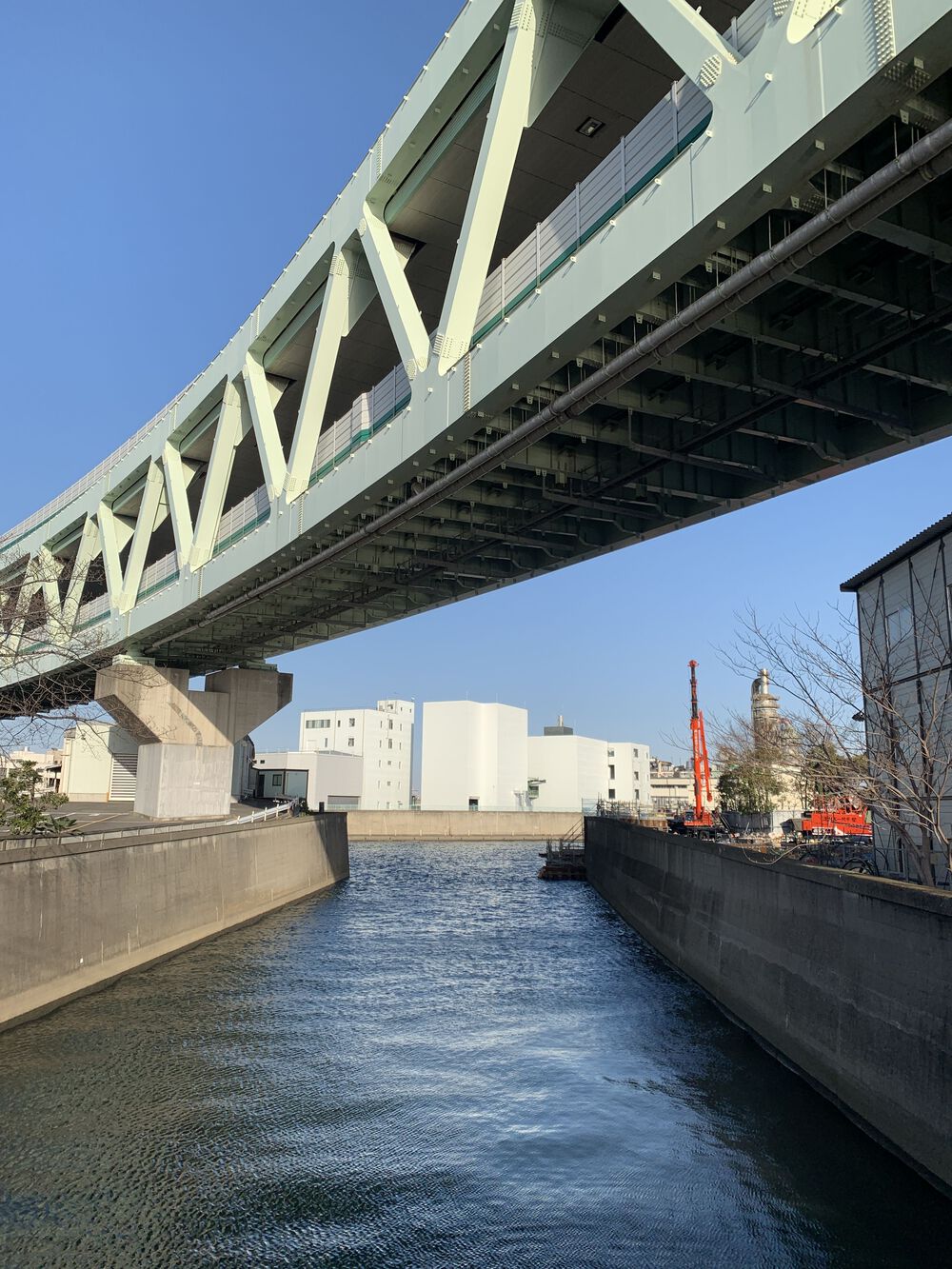 歌川広重と共にRUN 王子〜石神井川の写真9