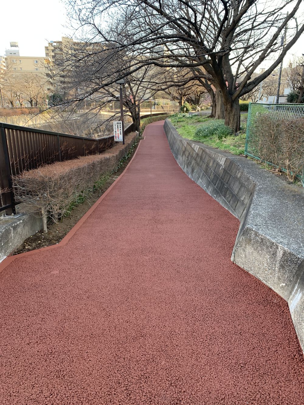 歌川広重と共にRUN 王子〜石神井川の写真10