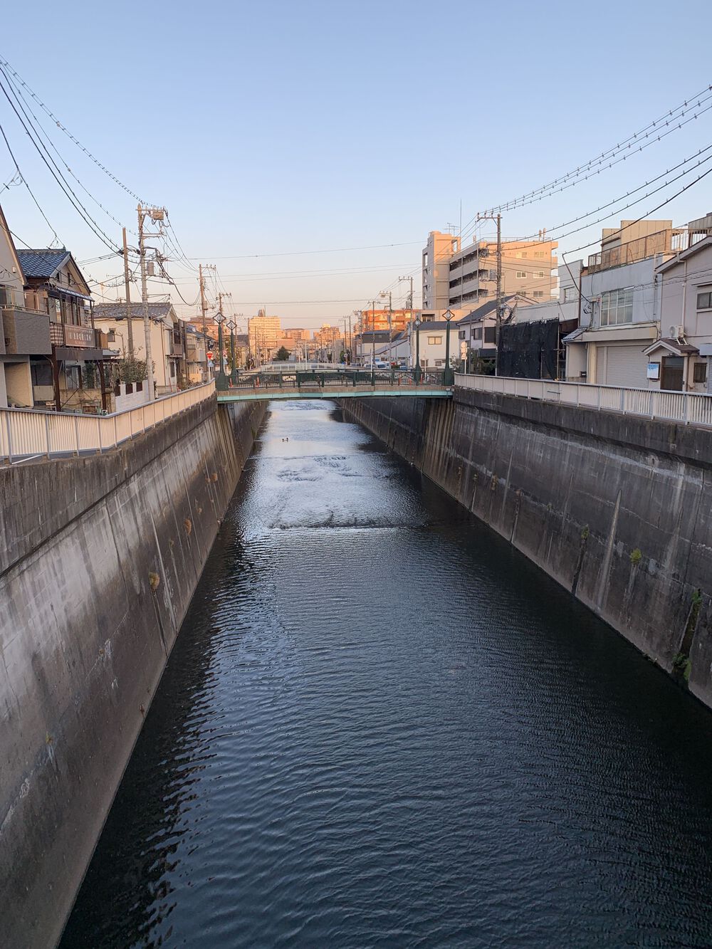 歌川広重と共にRUN 王子〜石神井川の写真12