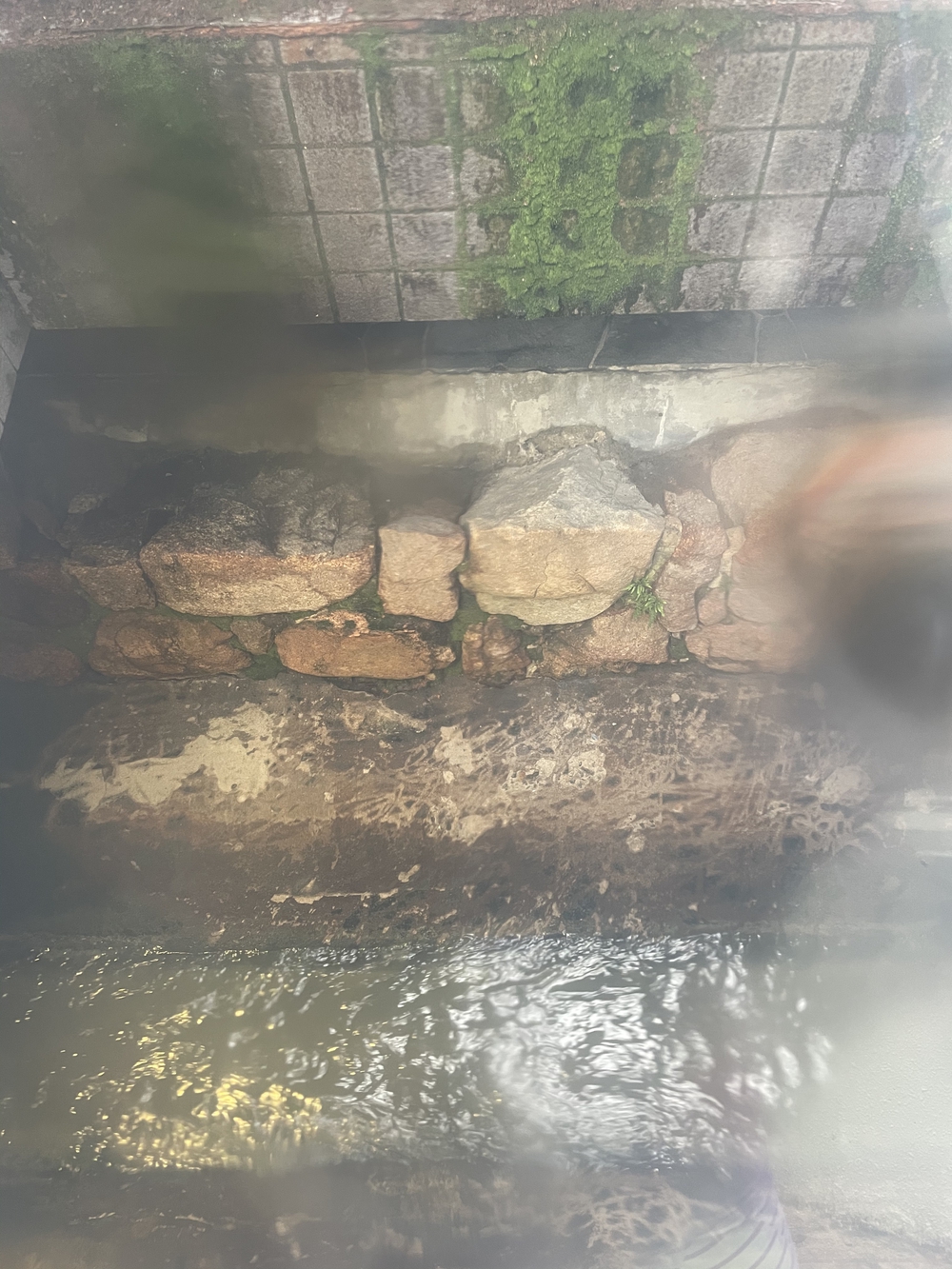 熊野街道 紀伊路走る(八軒家浜起点から堺の鳳まで)の写真3