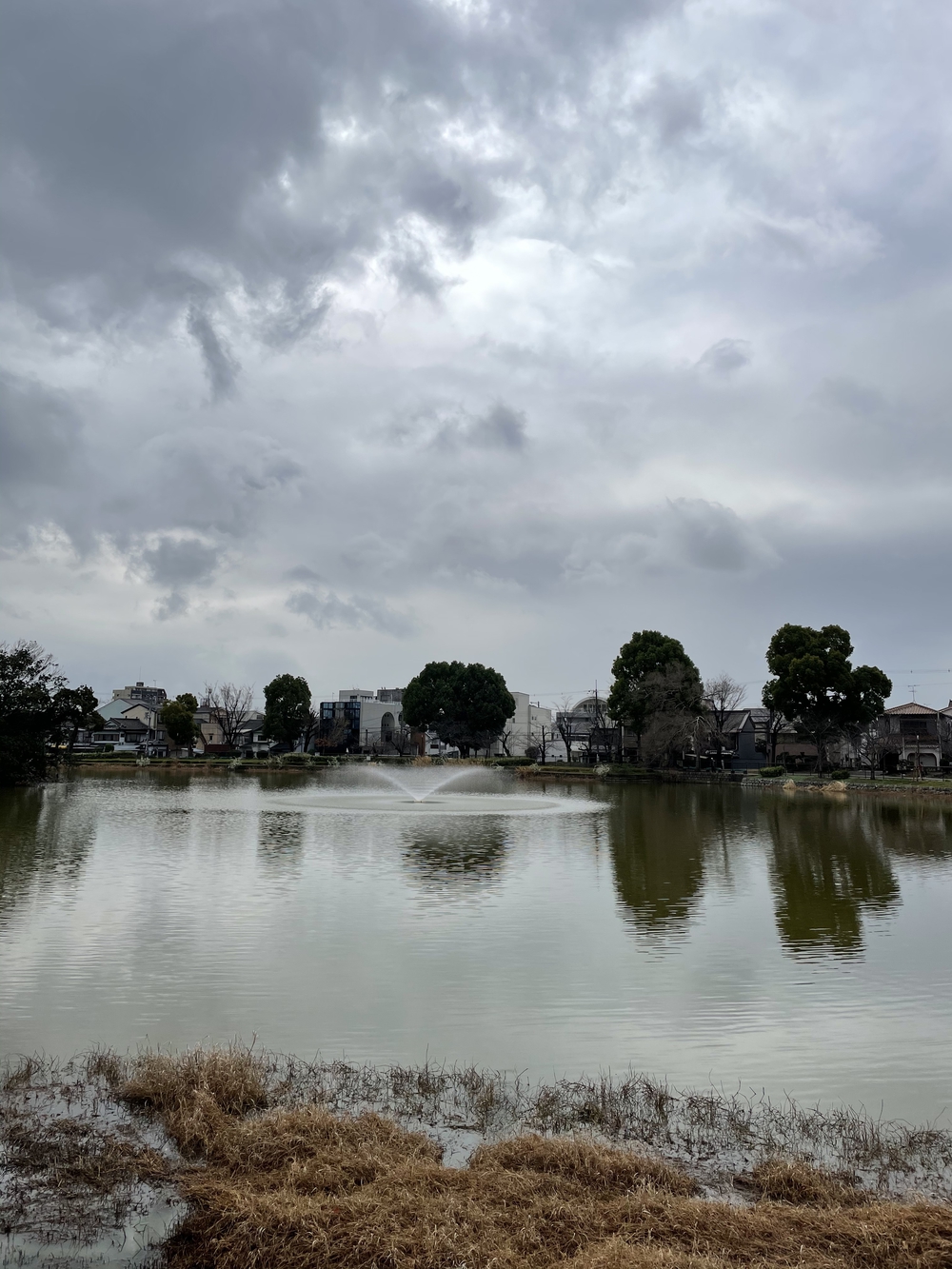 熊野街道 紀伊路走る(八軒家浜起点から堺の鳳まで)の写真12