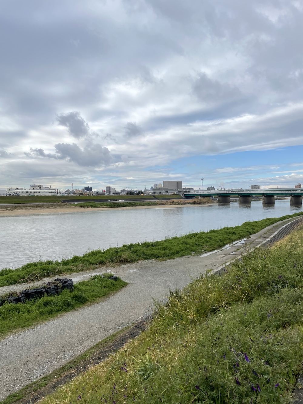 熊野街道 紀伊路走る(八軒家浜起点から堺の鳳まで)の写真15