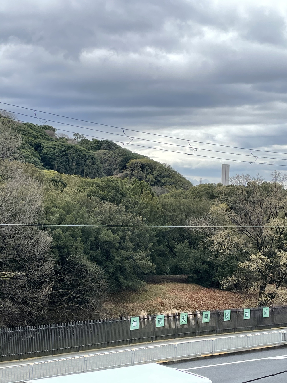 熊野街道 紀伊路走る(八軒家浜起点から堺の鳳まで)の写真19