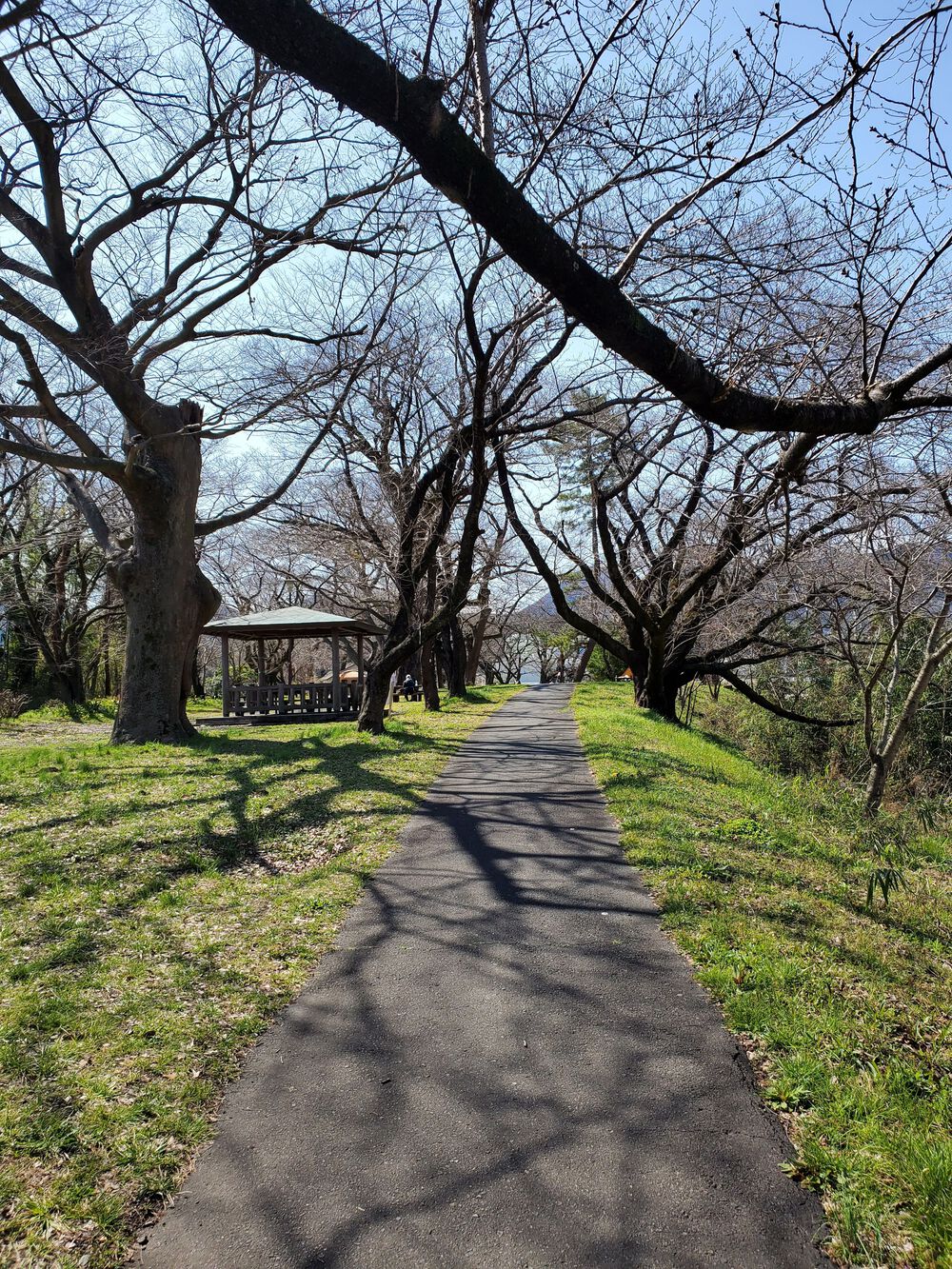 酒匂川上りRUN🏃‍♂️🏃‍♀️💨の写真3