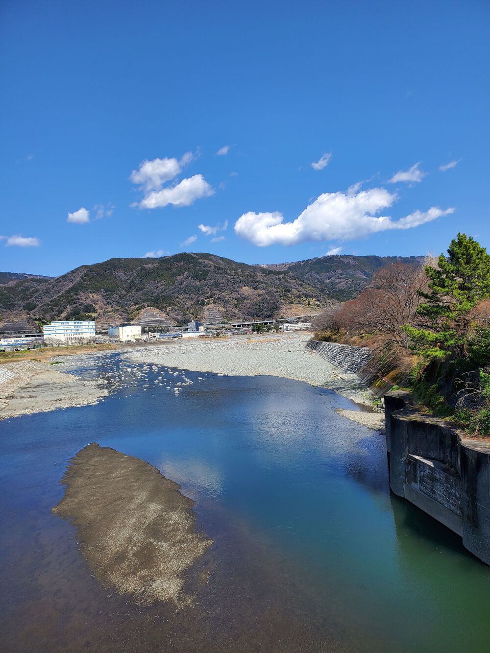 酒匂川上りRUN🏃‍♂️🏃‍♀️💨の写真5