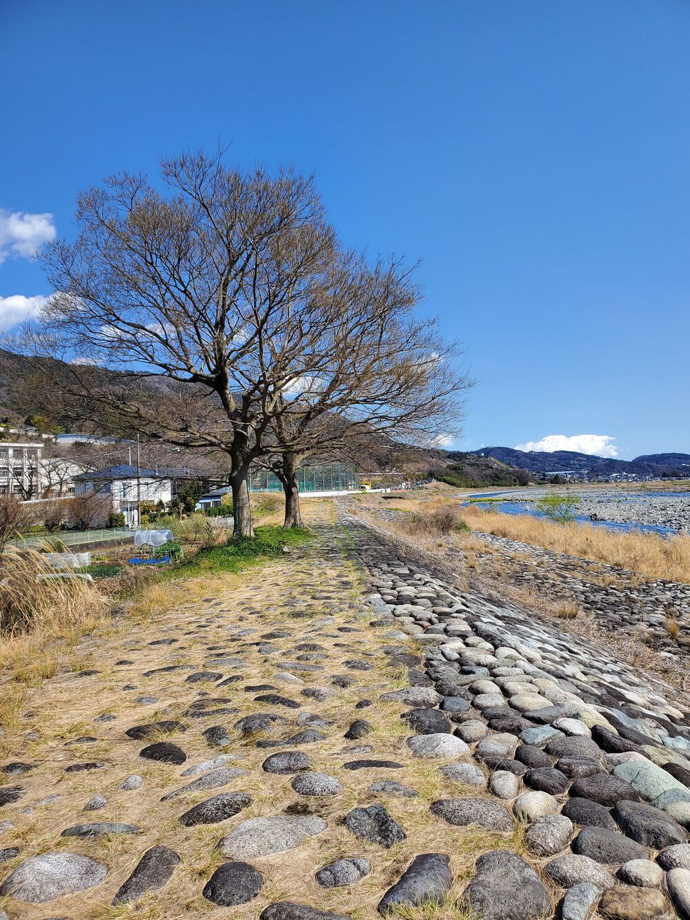 酒匂川上りRUN🏃‍♂️🏃‍♀️💨の写真7