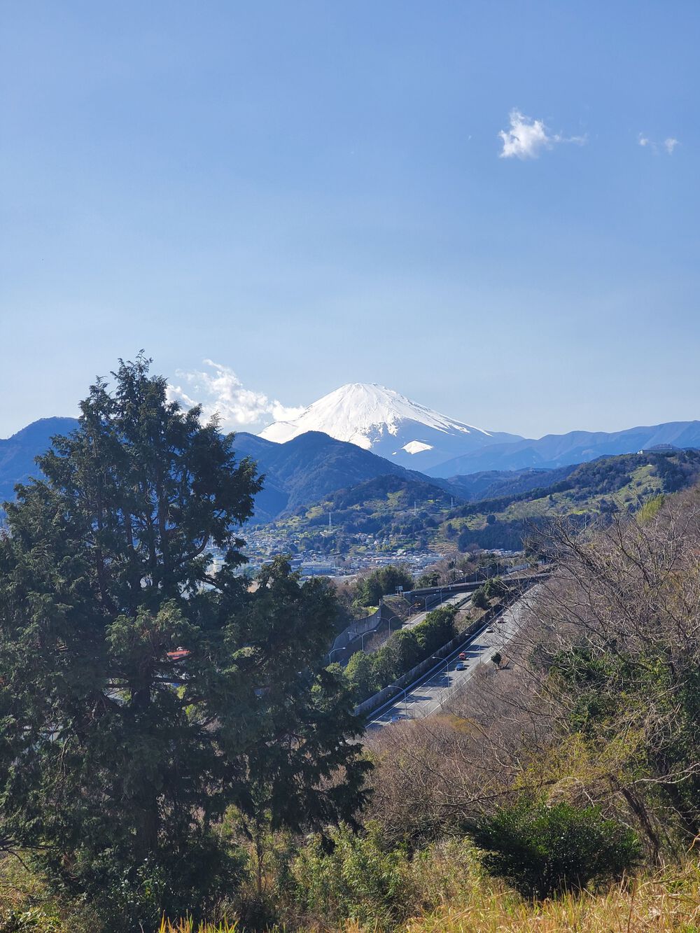 酒匂川上りRUN🏃‍♂️🏃‍♀️💨の写真8