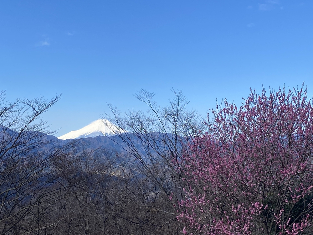 高尾トラサルディの写真3