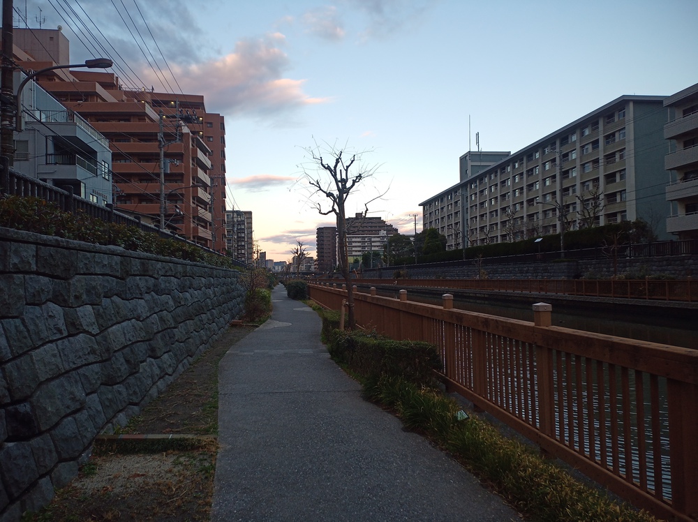 川沿いランで　新川　小名木川　THE塩の道の写真7