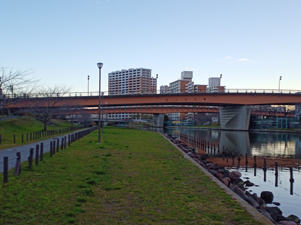 川沿いランで　新川　小名木川　THE塩の道の写真11