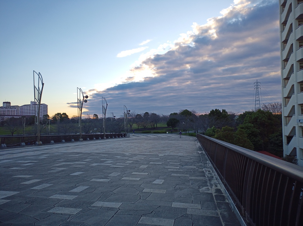 川沿いランで　新川　小名木川　THE塩の道の写真12