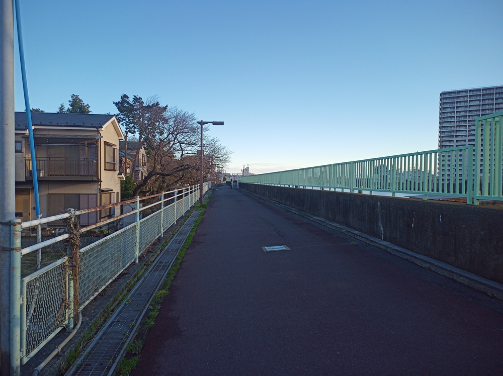 川沿いランで　新川　小名木川　THE塩の道の写真16