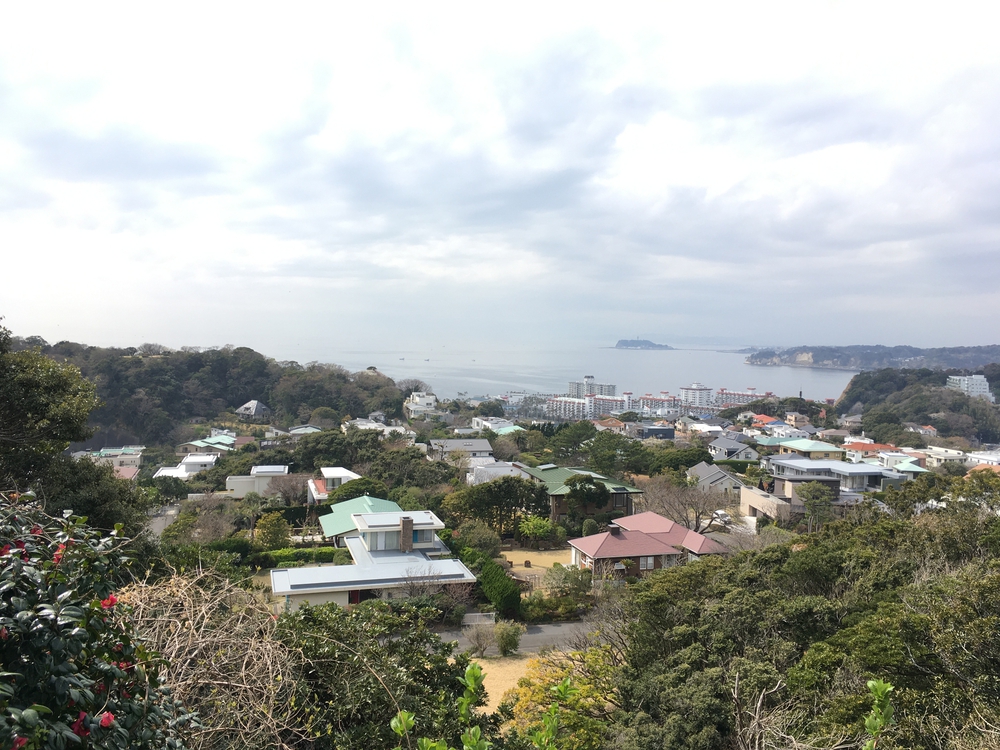 海と漁港に丘。最後はインド料理で締め‼️の写真3