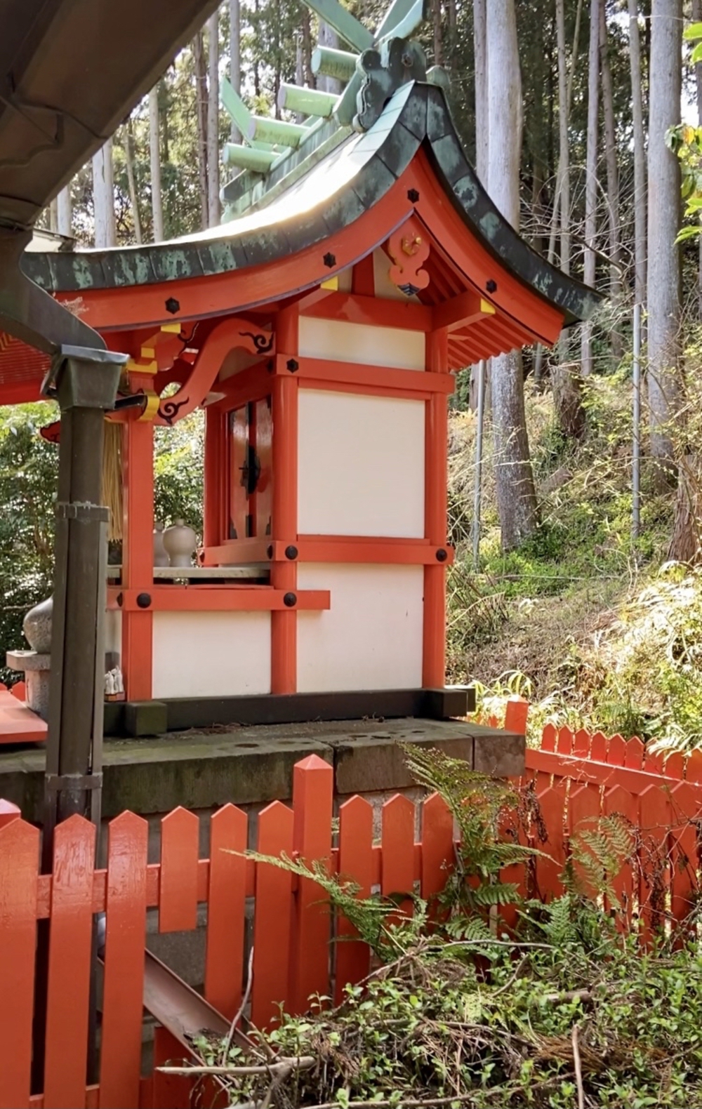 伏見赤白稲荷神社へのトレランコースの写真3