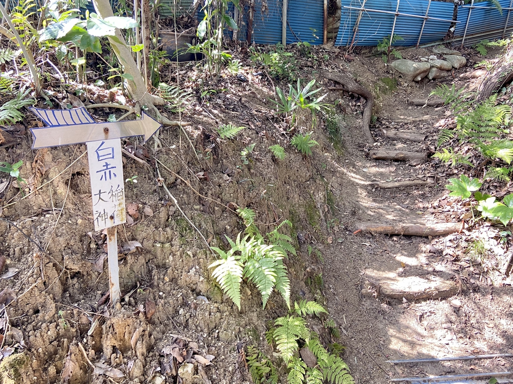 伏見赤白稲荷神社へのトレランコースの写真8