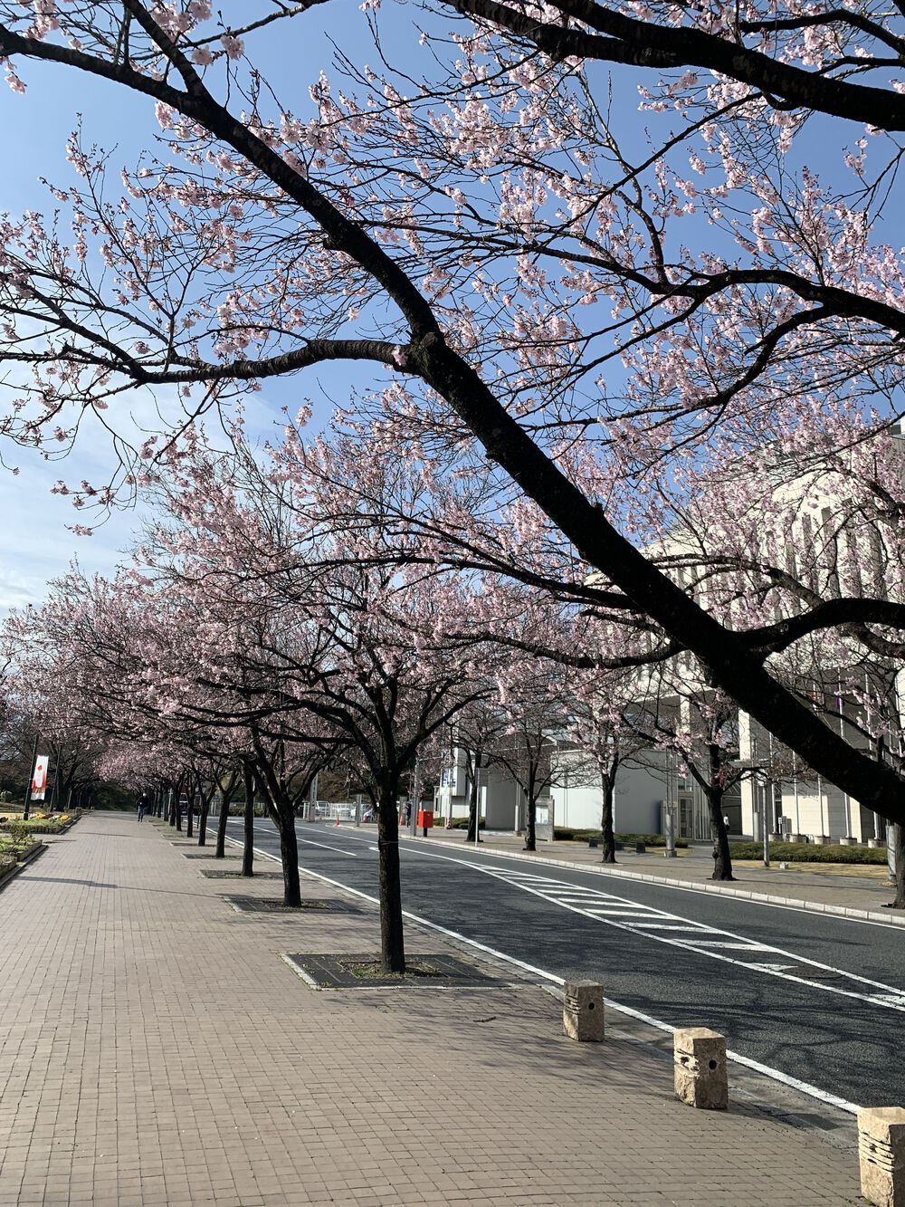 歌川広重と共にRUN 高崎の写真4