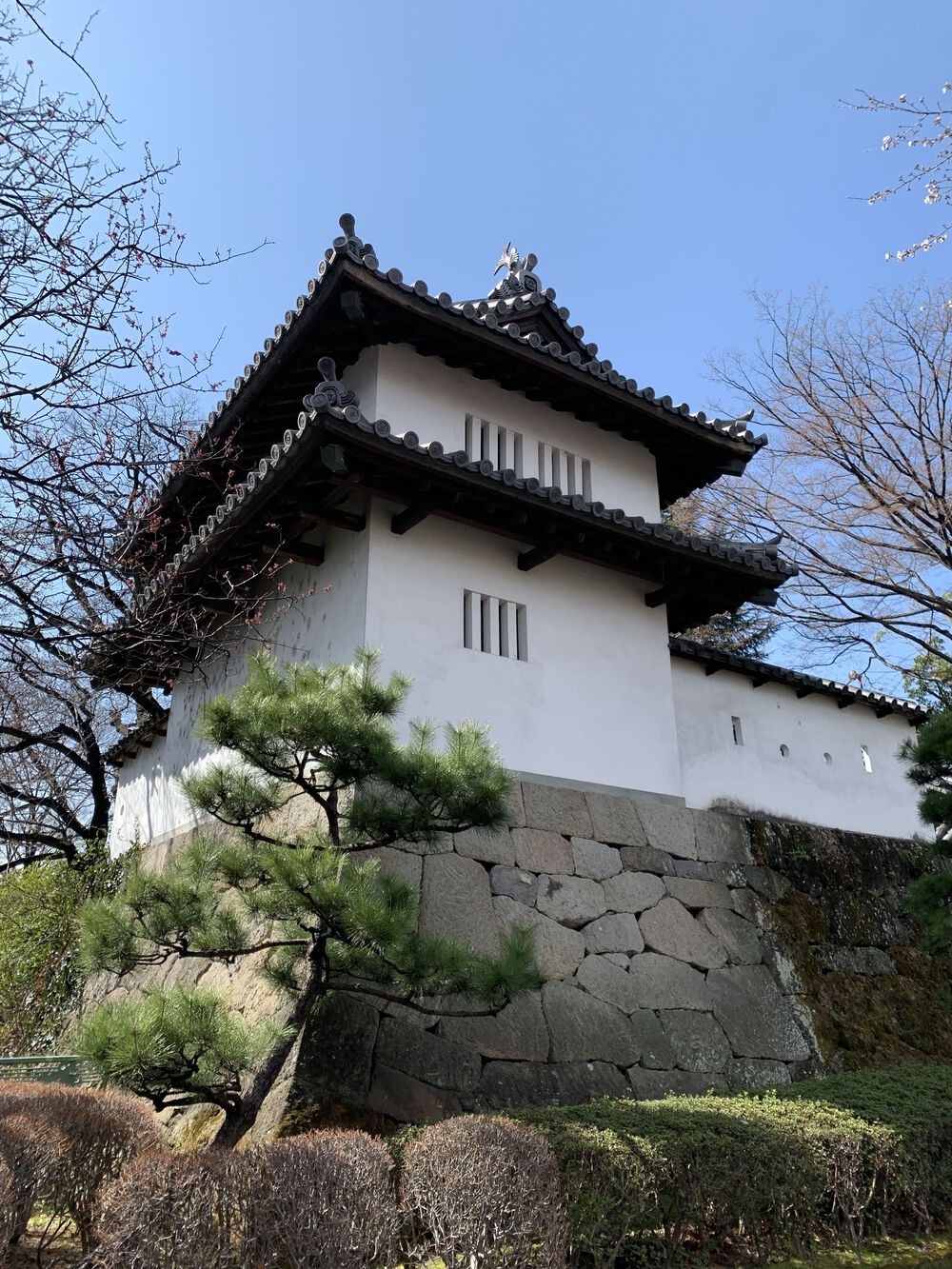 歌川広重と共にRUN 高崎の写真8