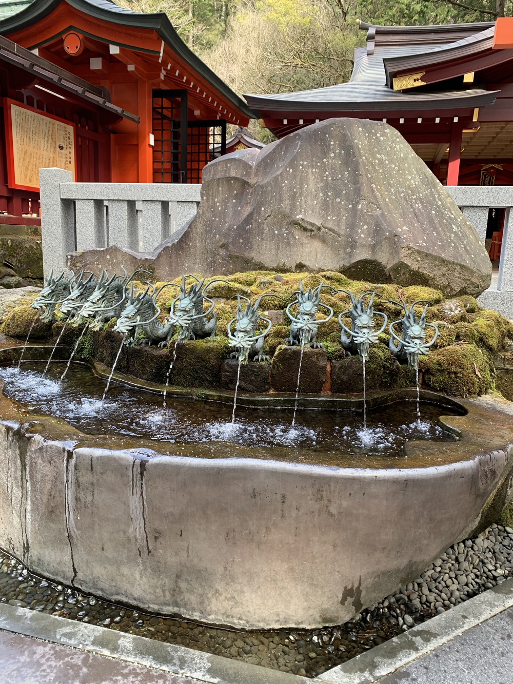 芦ノ湖くるっとの写真5