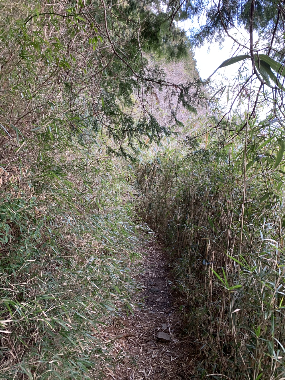 芦ノ湖くるっとの写真8