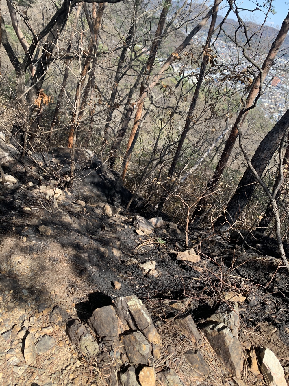 両崖山ハイキングの写真3