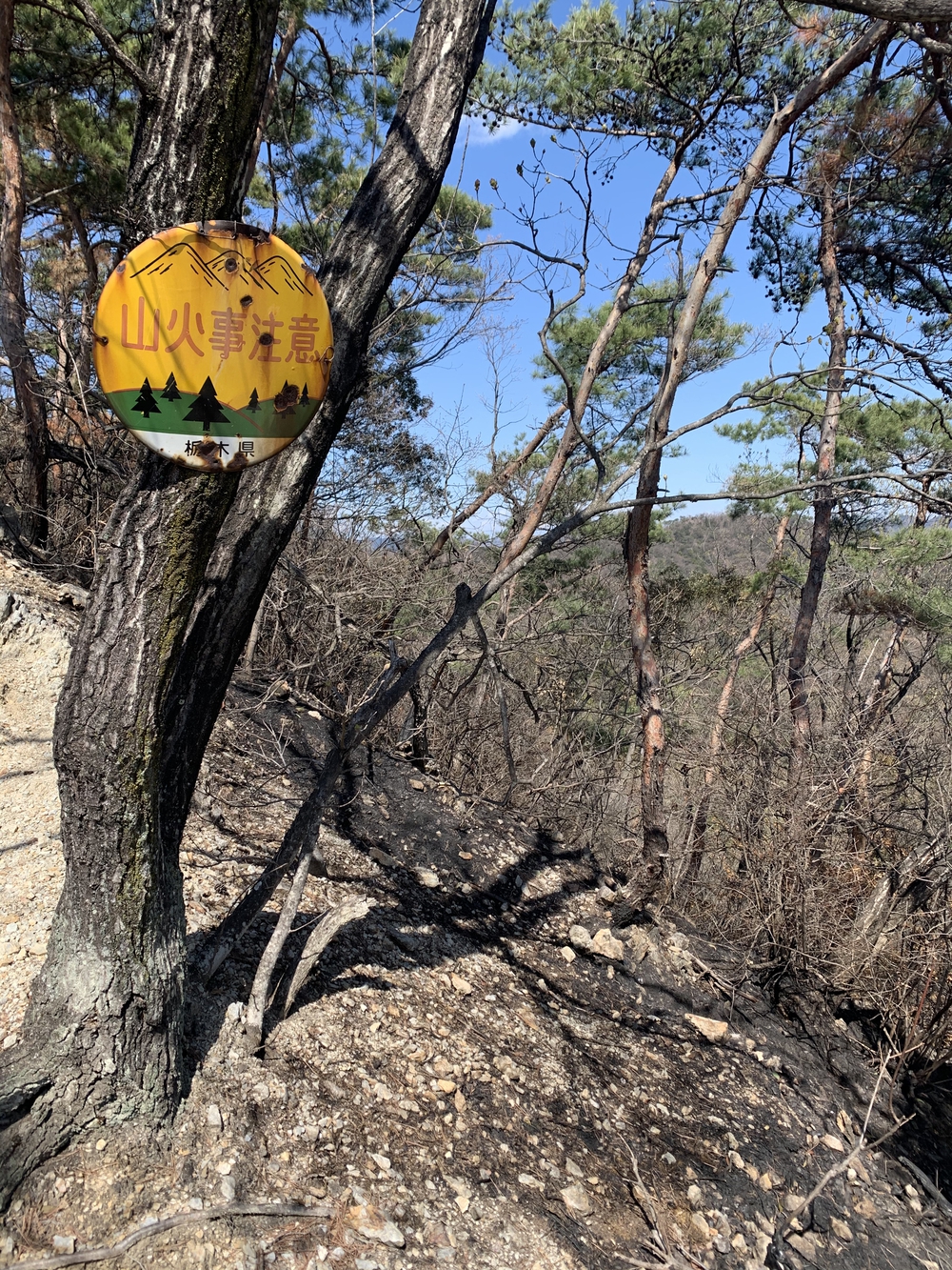 両崖山ハイキングの写真4
