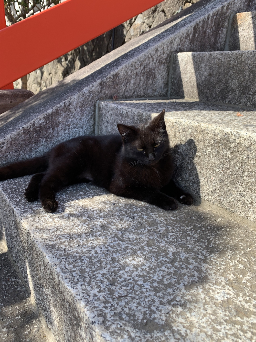 両崖山ハイキングの写真7