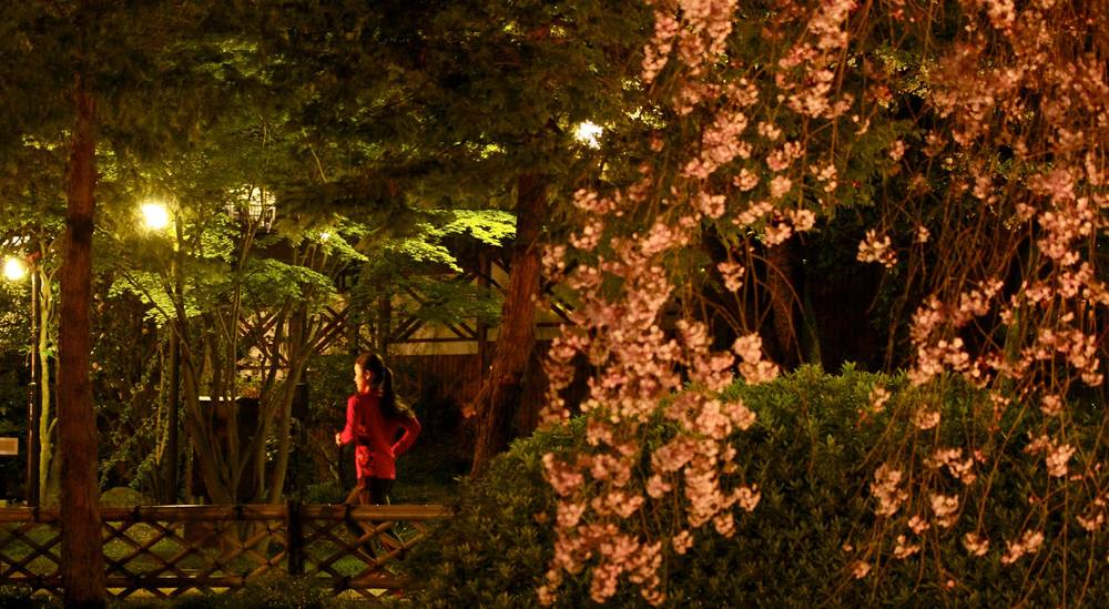 “TO-GO!”ジンジャの写真3