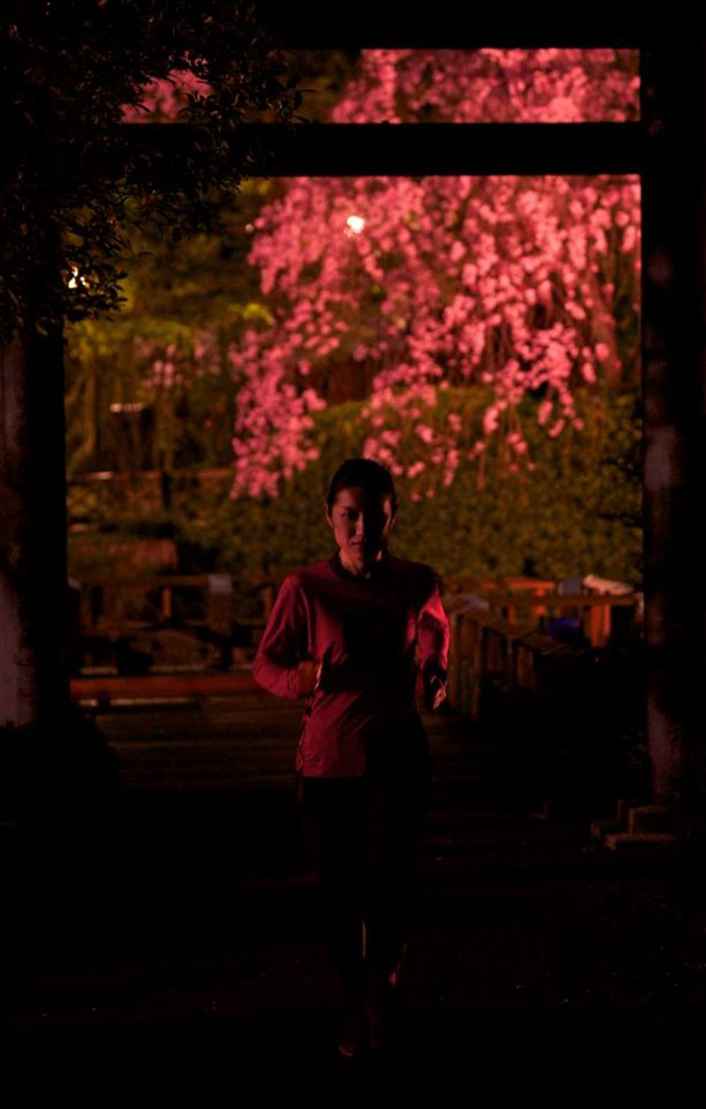 “TO-GO!”ジンジャの写真4