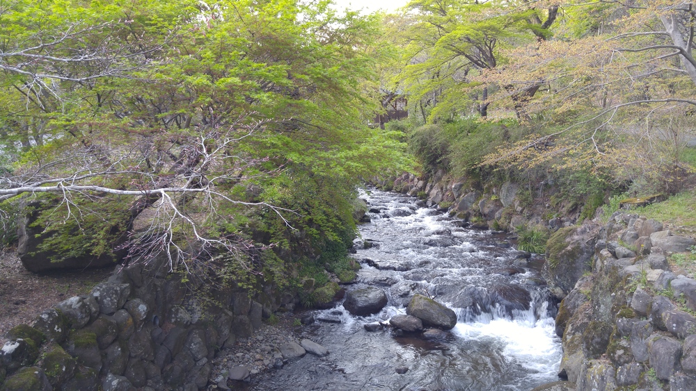 パワースポット・来宮神社と熱海梅園のお手軽コースの写真3