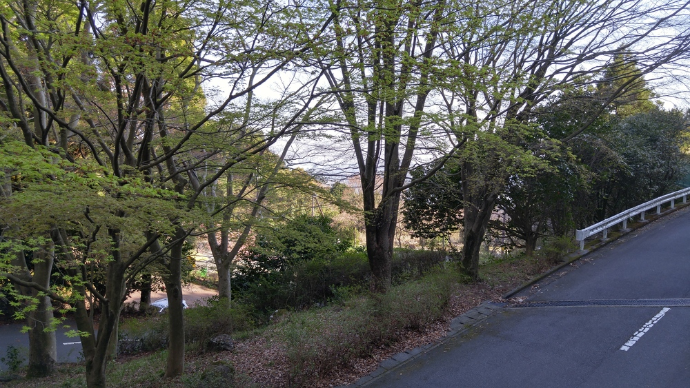 峠走：十国峠を下って熱海への写真3