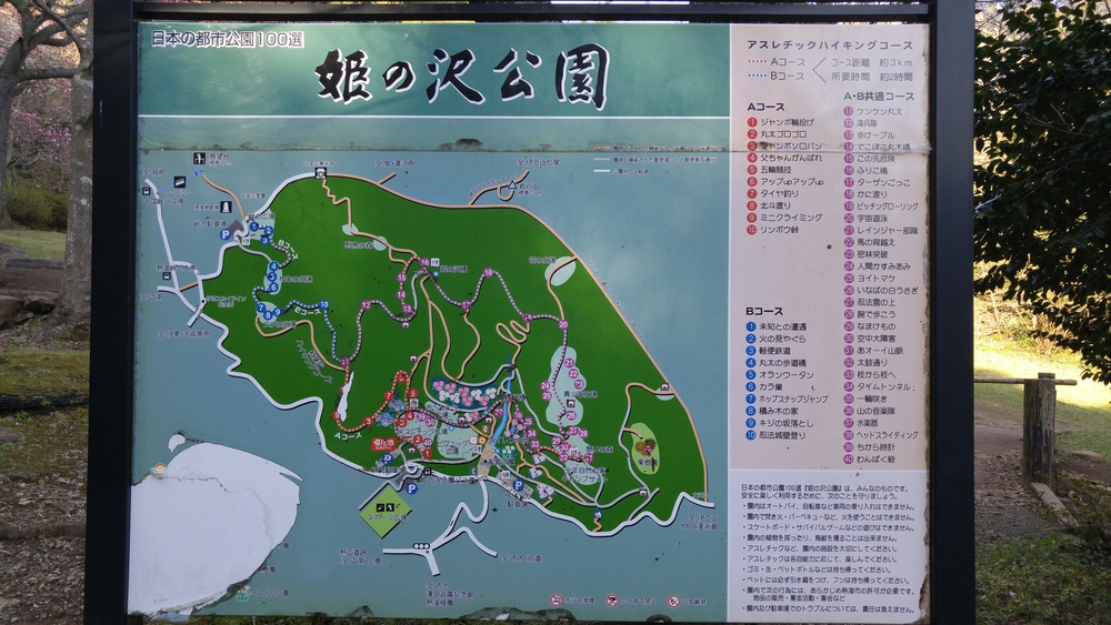 峠走：十国峠を下って熱海への写真4