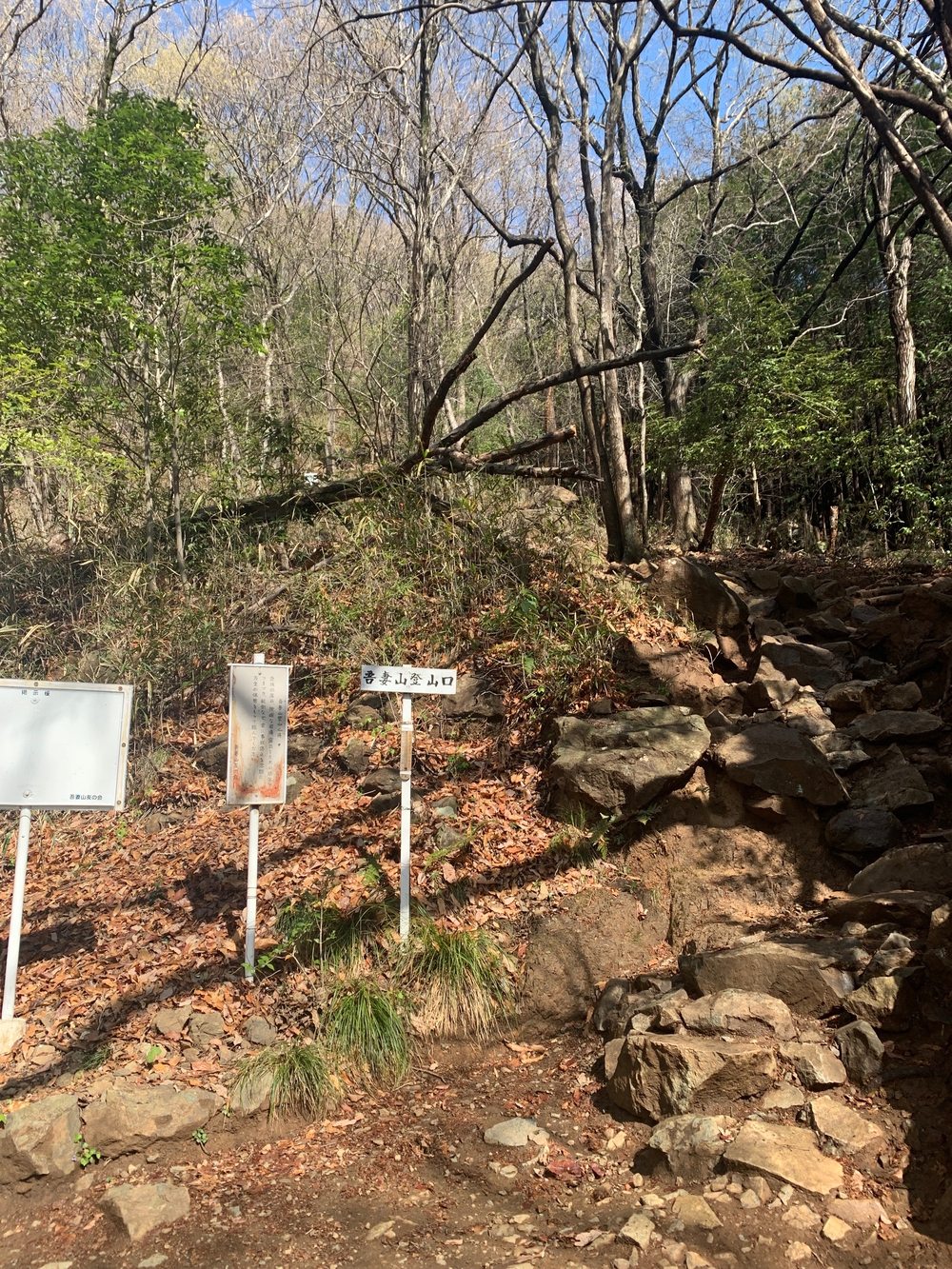 吾妻公園〜鳴神山ピストンの写真3